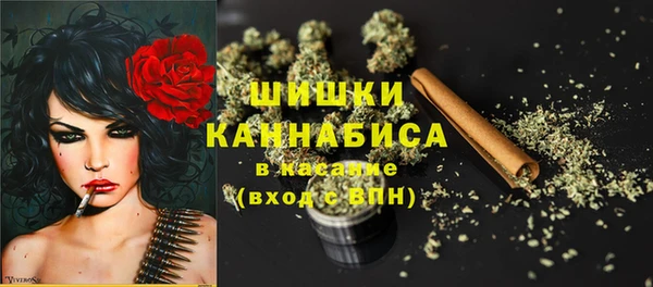 spice Аркадак