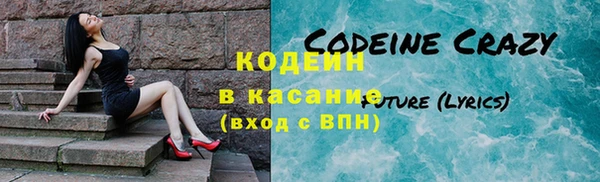 крисы Сясьстрой